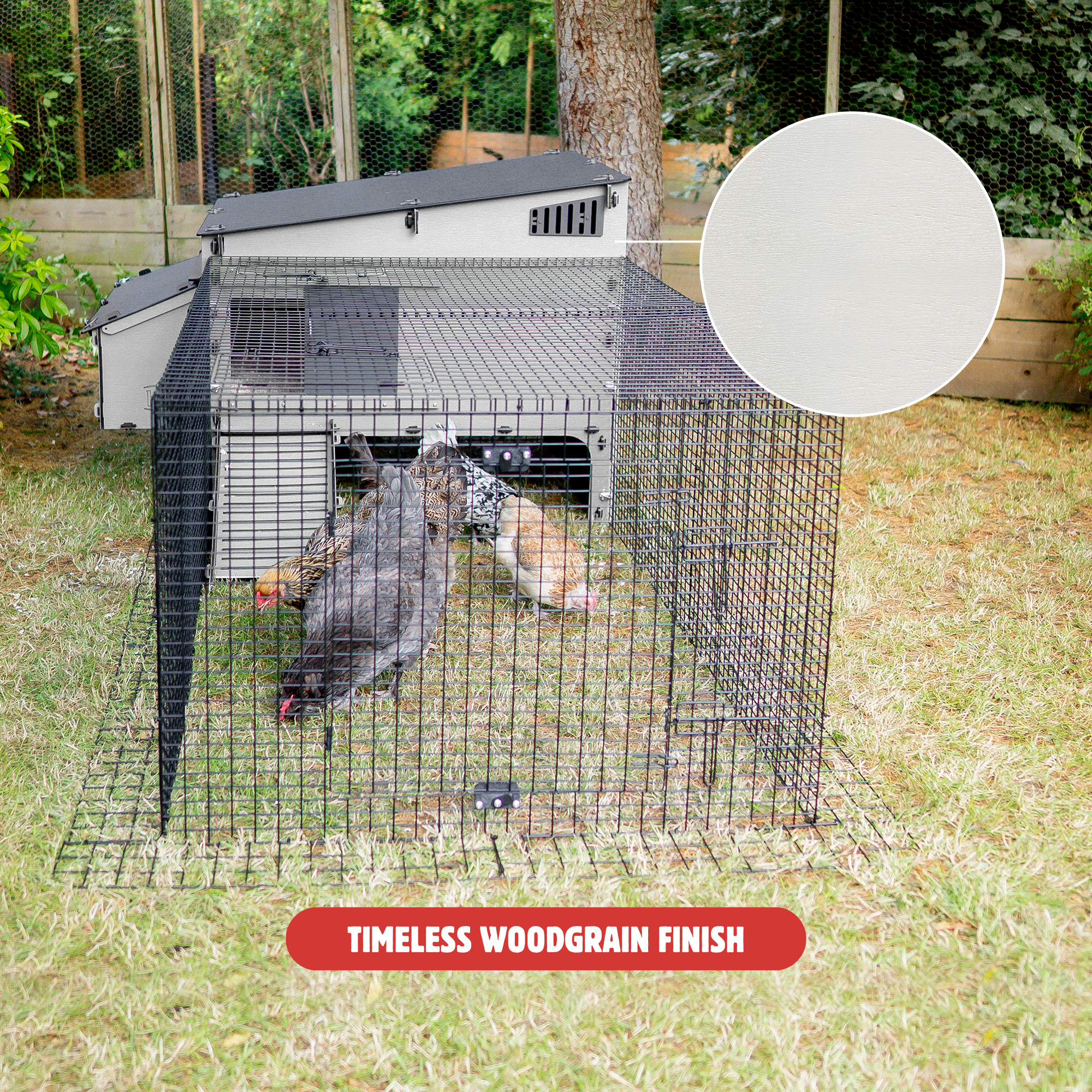 Hoover's Lean-To Coop