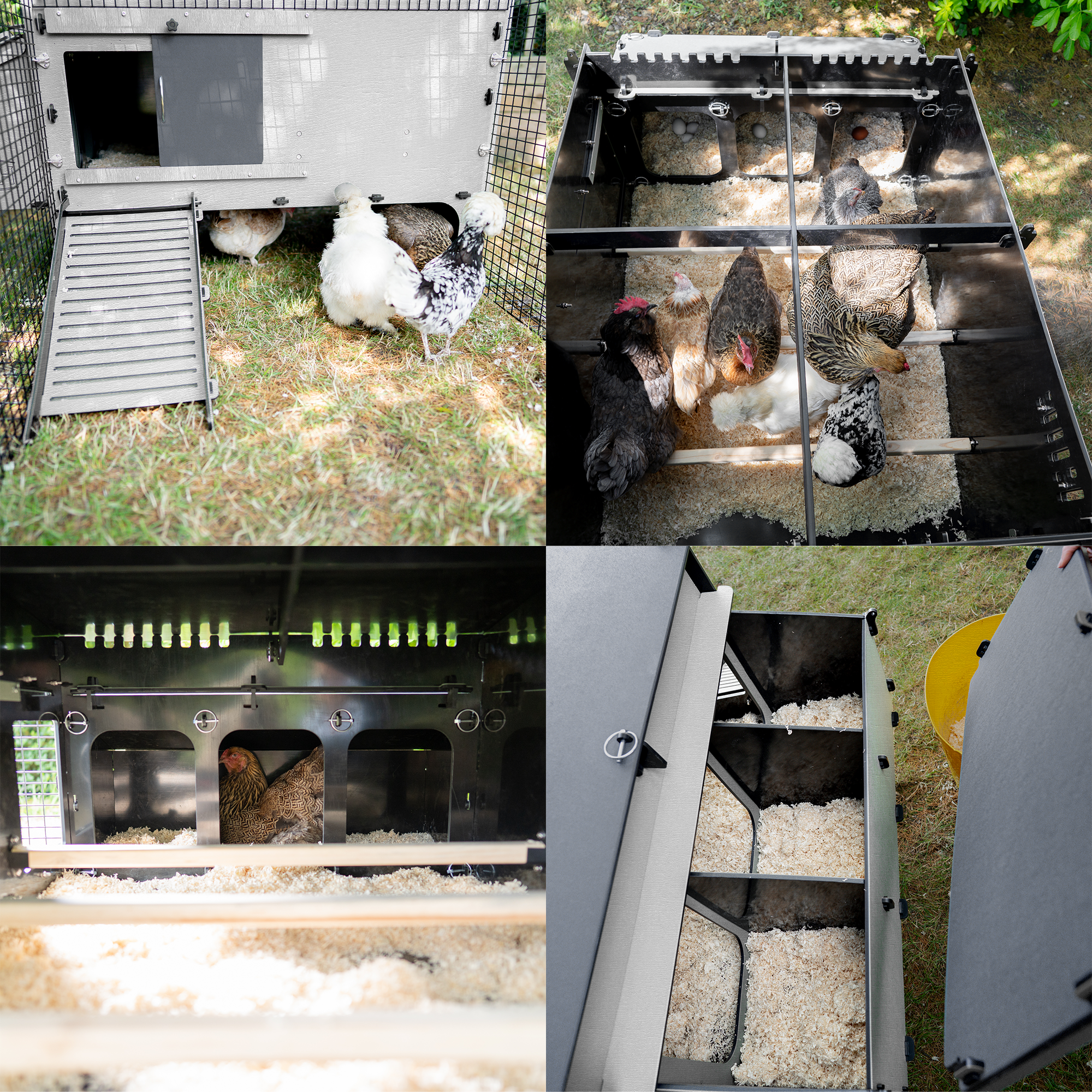 Hoover's Lean-To Coop